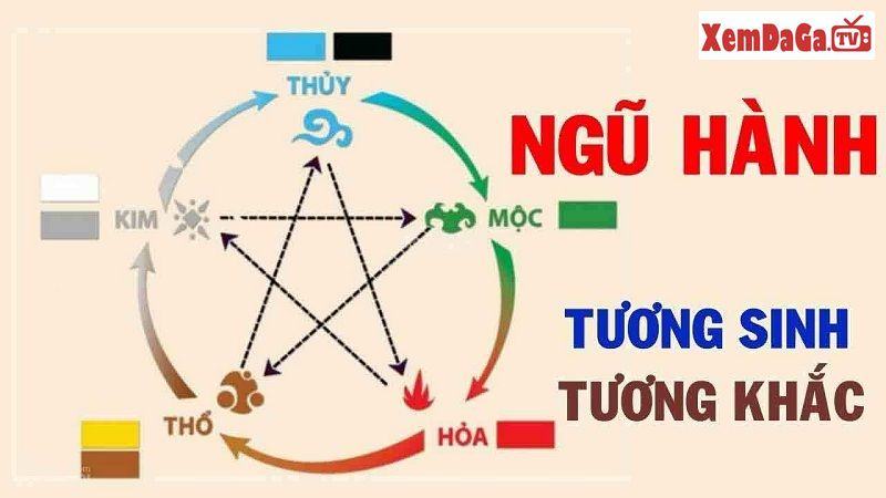 gà chuối đá ngày nào tốt