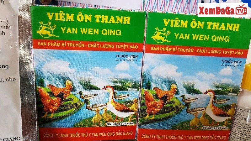 thức ăn cho gà mùa nóng