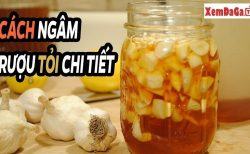 gà đá cựa sắt