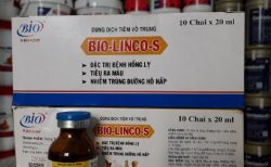 BIO-LINCO-S