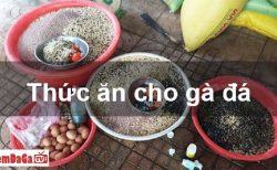 cách trộn thức ăn cho gà đá