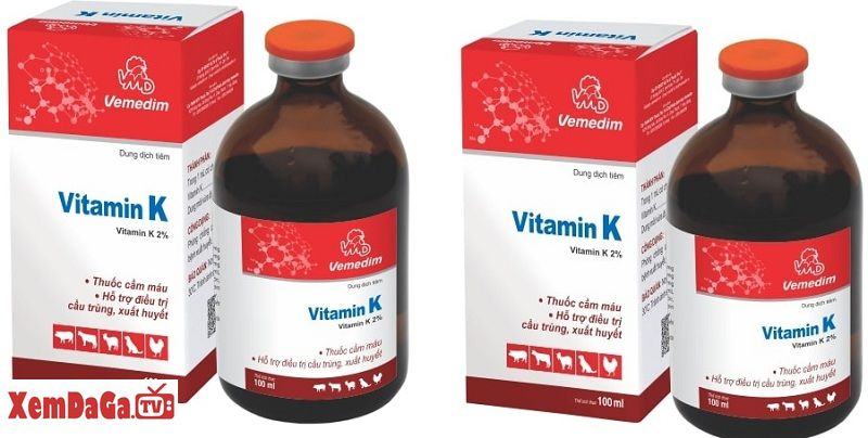 vitamin k cho gà đá