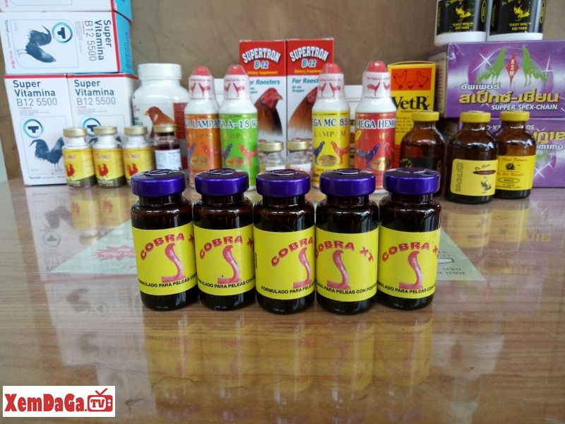 thuốc chích gà đá cựa sắt