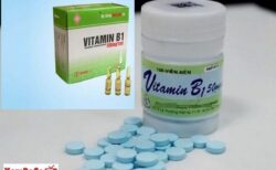 vitamin b1 cho gà