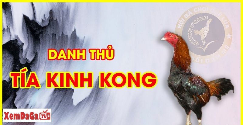 gà chọi nổi tiếng