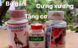 thuốc gà đá cựa sắt