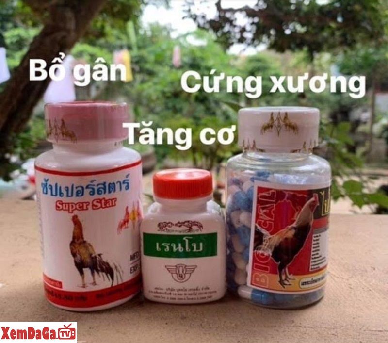 thuốc gà đá cựa sắt