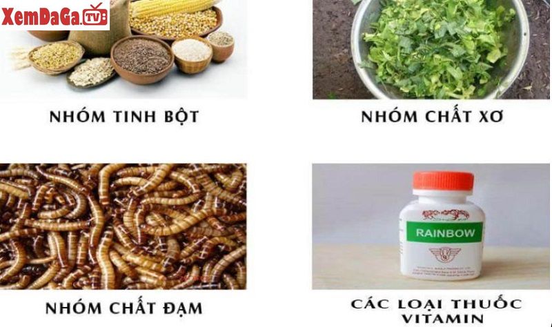 các loại mồi cho gà đá