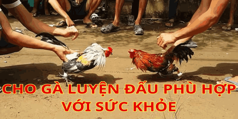 cach-nuoi-da-ga-khong-bi-hoc-4